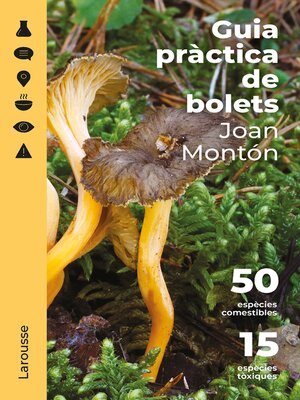 cover image of Guia pràctica de bolets